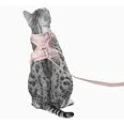 LucyBalu Explorer kattsele Rosé Hello Kitty XS/S