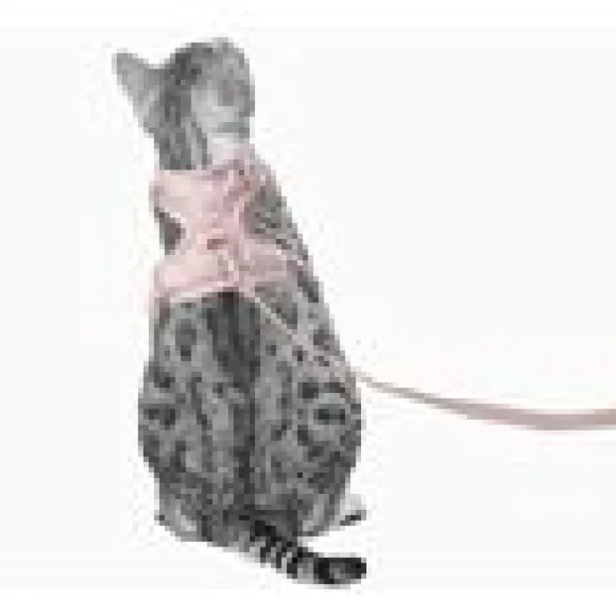 LucyBalu Explorer kattsele Rosé Hello Kitty M/L
