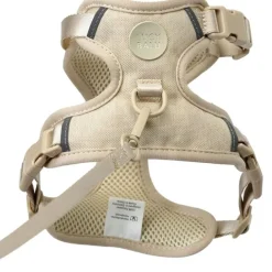 LucyBalu Explorer kattsele Sand M/L