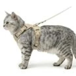LucyBalu Explorer kattsele Sand M/L