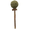 Matatabi LollyPop kattmynta