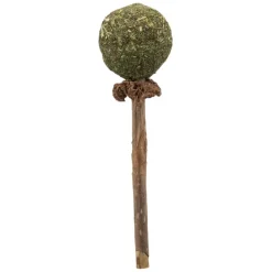 Matatabi LollyPop kattmynta