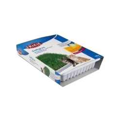 Mjukt kattgräs vitaminberikad