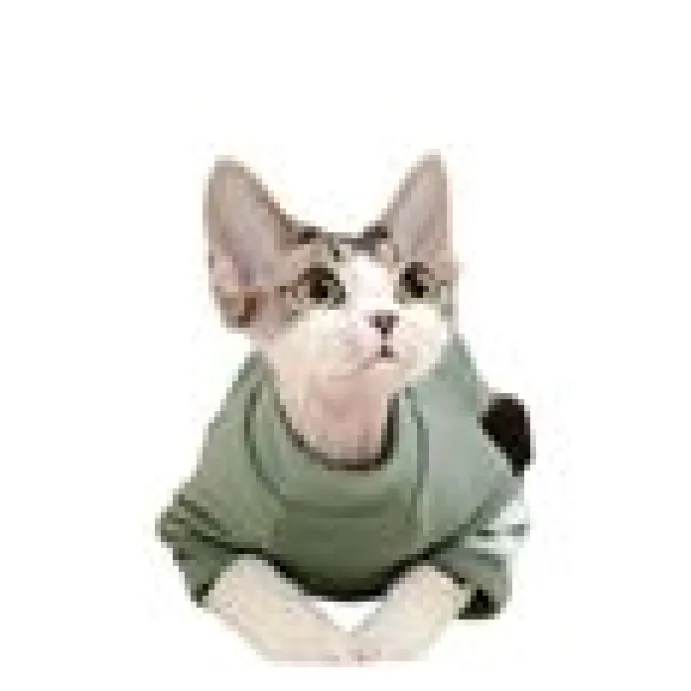 Moorspet Katttröja T-Shirt Grön