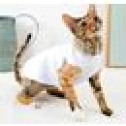 Moorspet Sphynx & Rex Kattsweater winter Vit