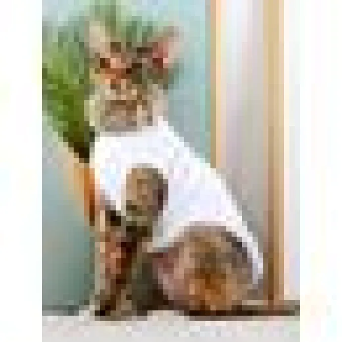 Moorspet Sphynx & Rex Kattsweater winter Vit