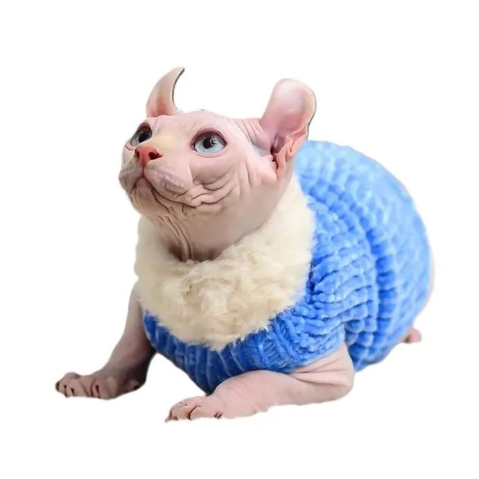 Moorspet Sphynx & Rex Kattsweater winter Blå
