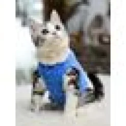 Moorspet Sphynx & Rex Kattsweater winter Blå