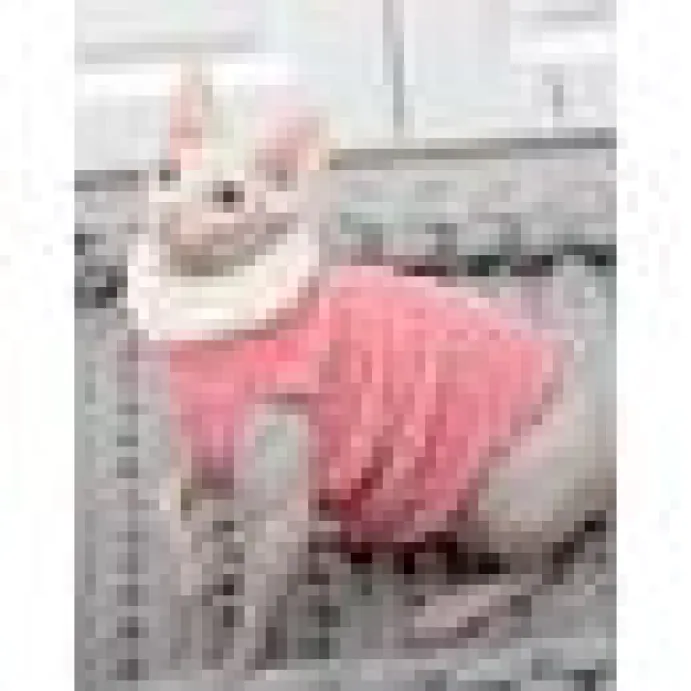 Moorspet Sphynx & Rex Kattsweater winter Rosa