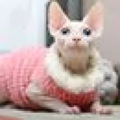 Moorspet Sphynx & Rex Kattsweater winter Rosa