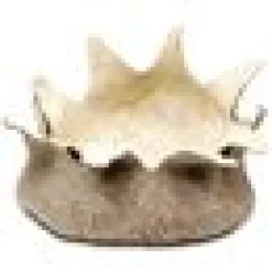 Natural Wool Blossom Basket M