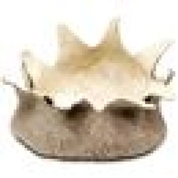 Natural Wool Blossom Basket M