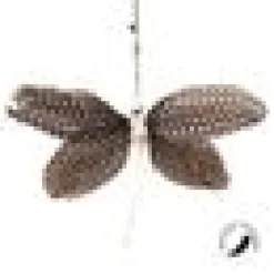 Papillon Pepita Refill Pepita