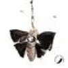 Profeline - Big FlutterMoth Refill