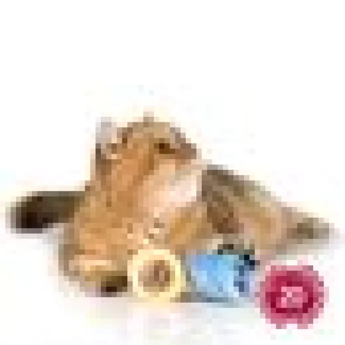 Profeline - Big Soft Spring Toy