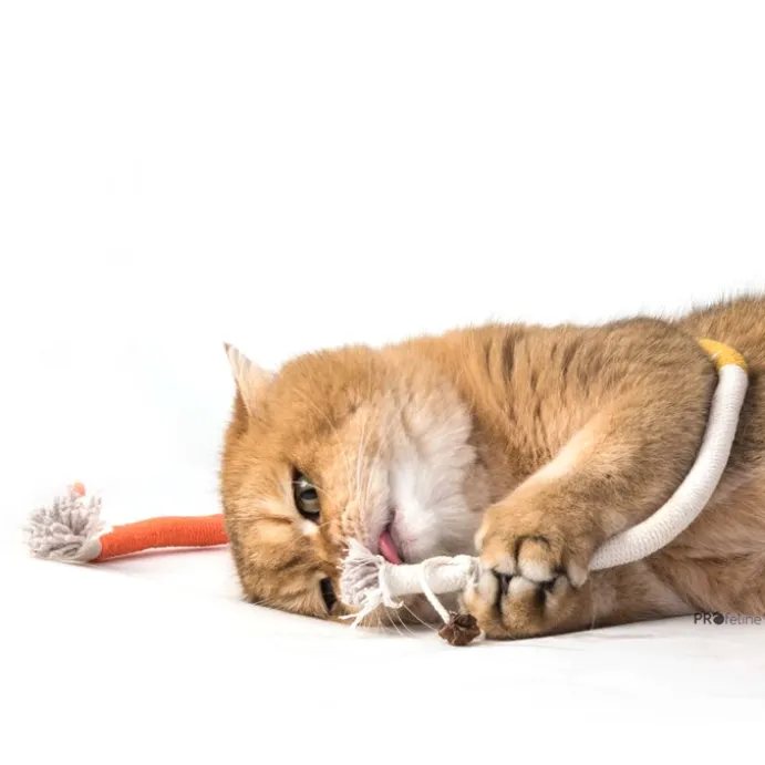 Profeline Cotton Play Rope Orange