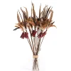Profeline Federwedel / Cat Teaser Pheasant Feather