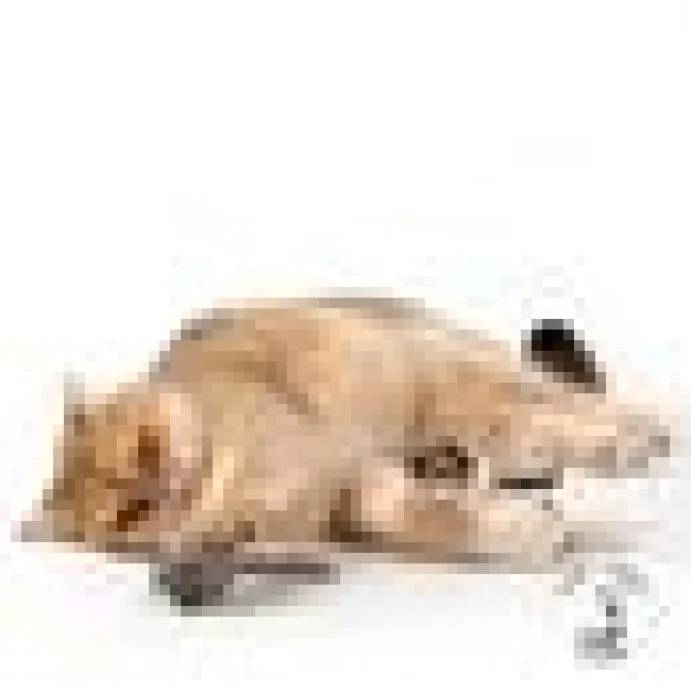 Profeline - Felted Wool Mouse
