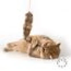 Profeline - Furry Tail Refill