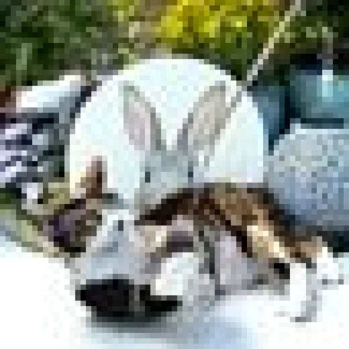 Profeline - Fur Shaglet Refill