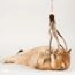 Profeline - Fur Shaglet Refill