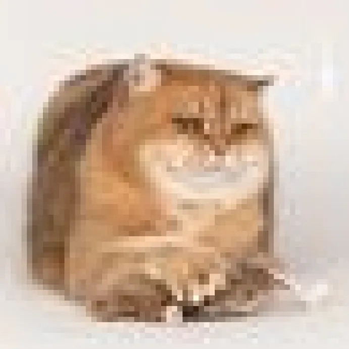Profeline - Munchy Hamster refillable