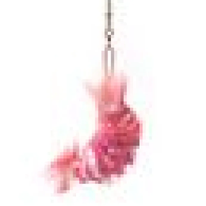 Profeline - Shrimps Refill