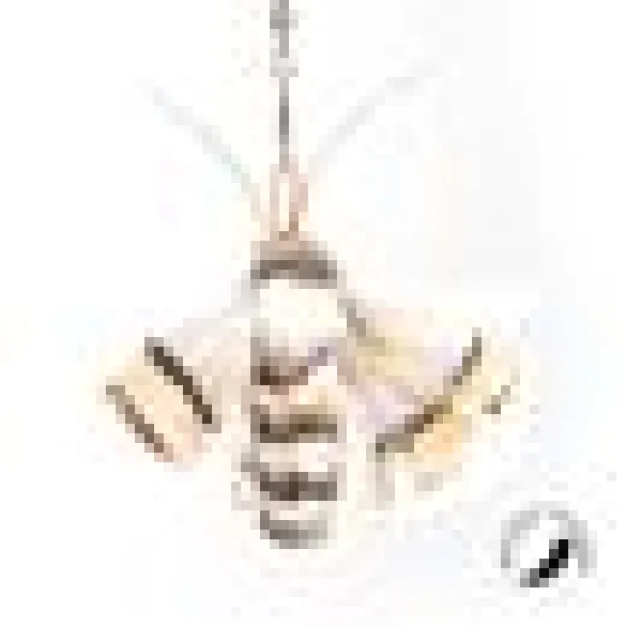 Profeline - Special Edition BUZZ - Attachements