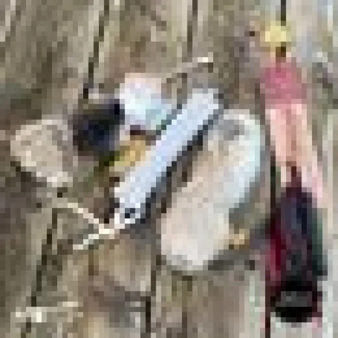 Profeline - Telescopic Cat Rod / Teleskop