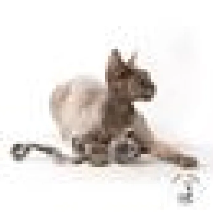 Profeline - WoollyRattus