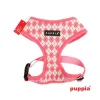 Puppia pana rosa