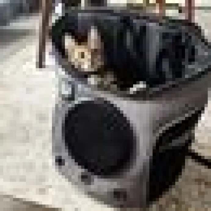Rycksäck Travelcat Fat Cat Mini Grå