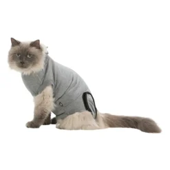 Skyddande body för katt