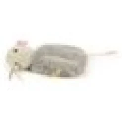 SMARTYKAT MADCAP MANIA M. CATNIP