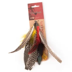 Spinning Feather - 2 Set Refill