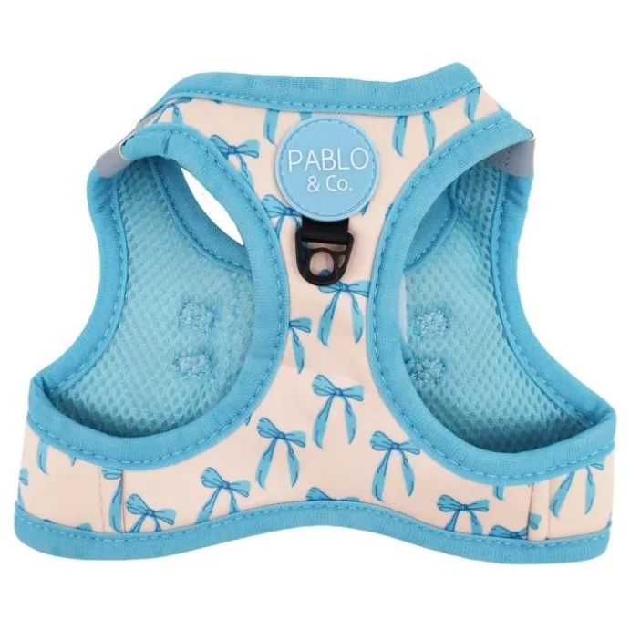 Step in kattsele Baby Blue Bows