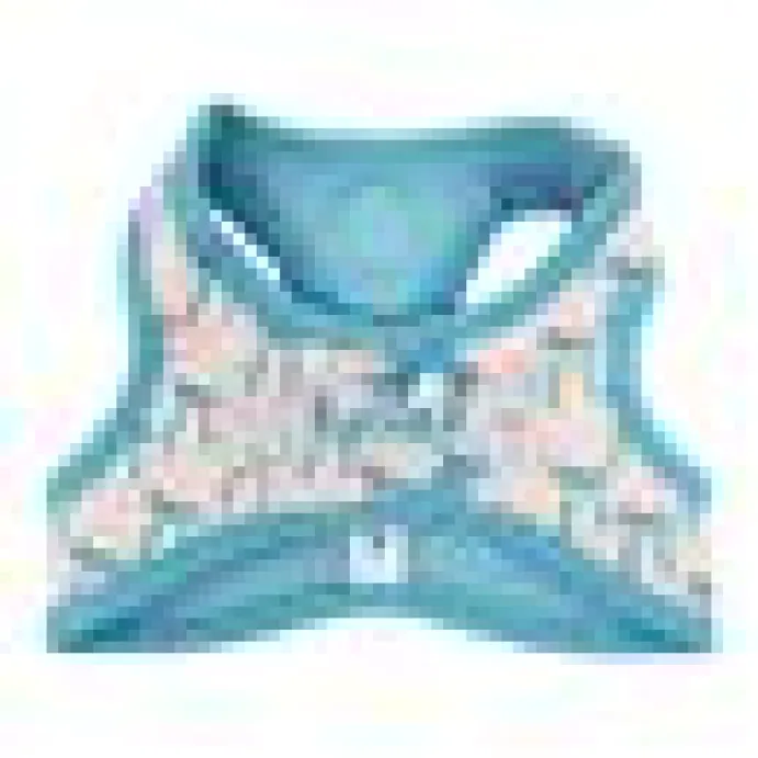 Step in kattsele Baby Blue Bows