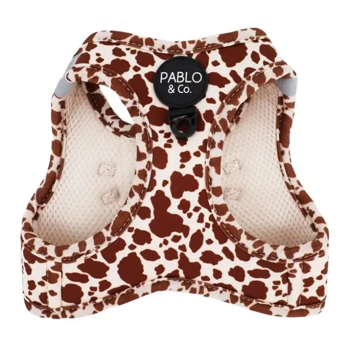 Step in kattsele Rodeo