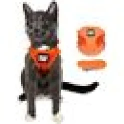Travel Cat Komfortabel Kattsele Orange