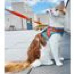 Travel Cat Komfortabel Kattsele The Oasis