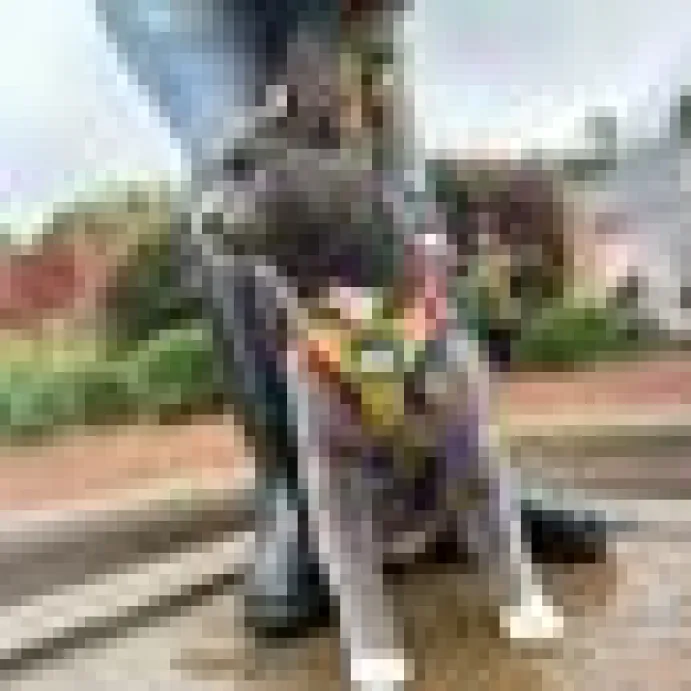 Travel Cat Komfortabel Kattsele Rainbow
