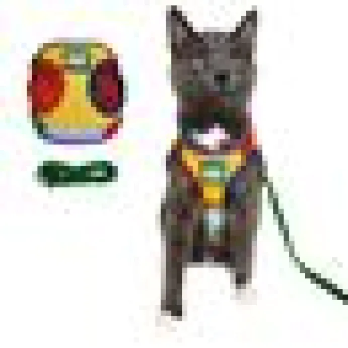 Travel Cat Komfortabel Kattsele Rainbow