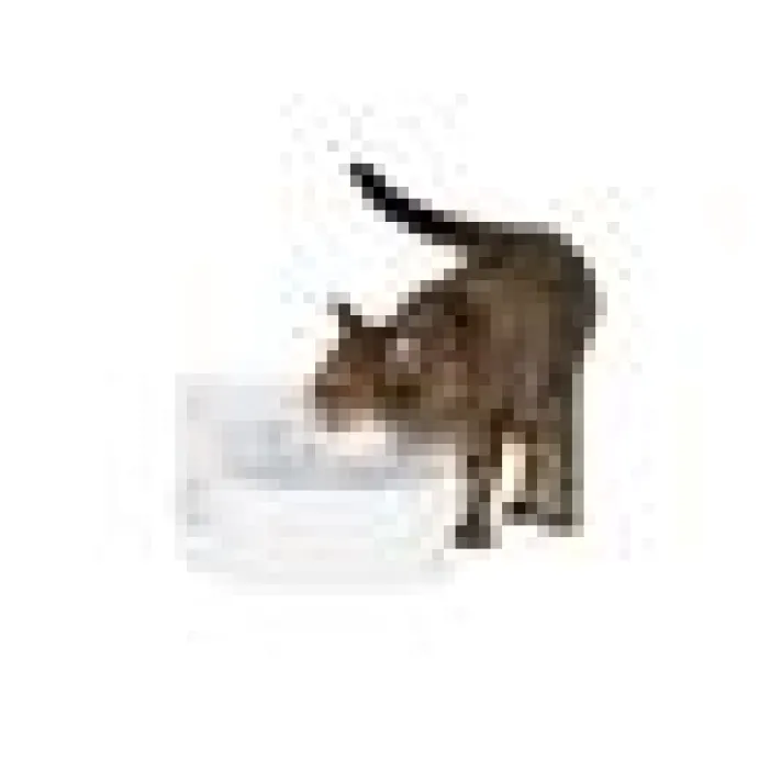 Vattenfontän Petsafe Outlast fontaine 1,7L