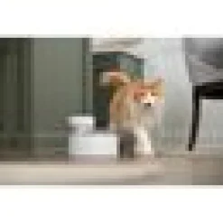Vattenfontän Petsafe Outlast fontaine 1,7L