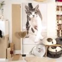 Wall - Climbing Carpet