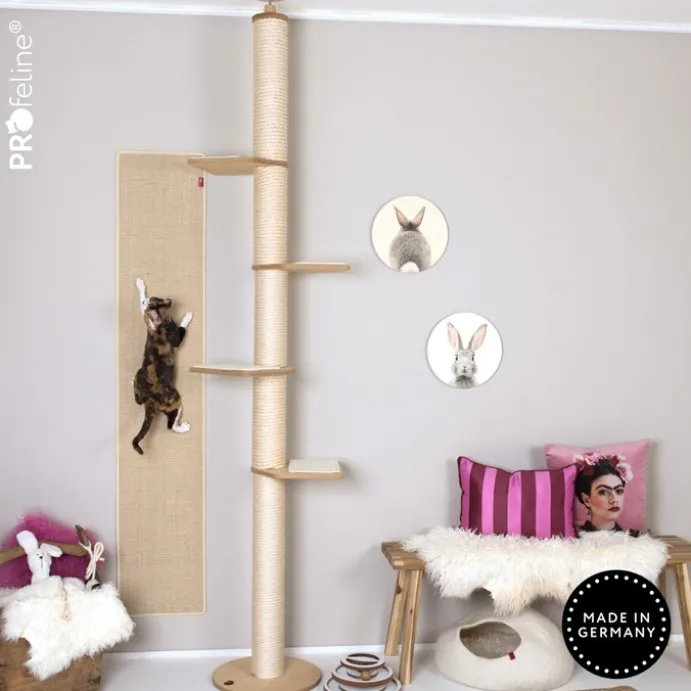 Wall - Climbing Carpet