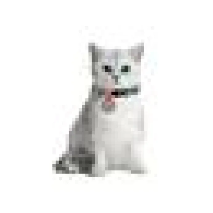 WAUDOG Katthalsband Furry monsters Gul